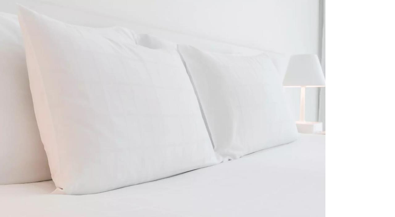 פלורידה סיטי Econo Lodge Inn & Suites מראה חיצוני תמונה